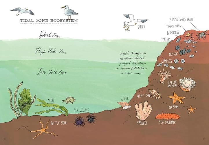 Ocean Anatomy: The Curious Parts & Pieces of the World under the Sea thumbnail 5