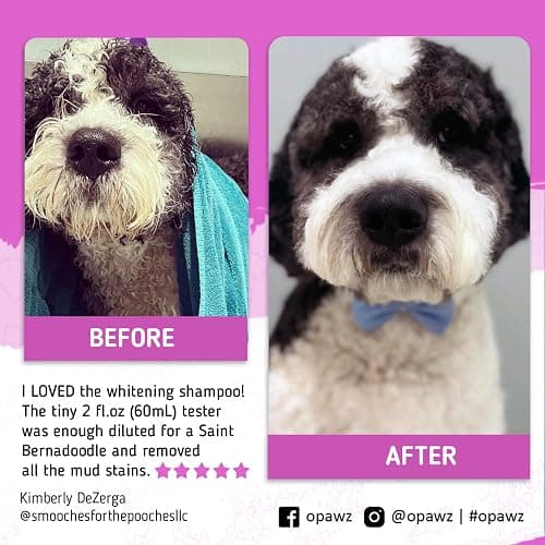 OPAWZ 05 Whitening Purple Shampoo for Dog and Cat, Safely Remove Yellow Stains, with No Bleach, Peroxide and Sulfate, Professional Groomers Recommended Product, 16.9 oz thumbnail 7