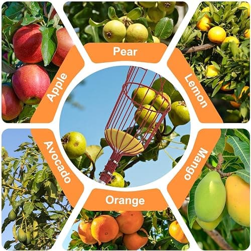 SISIUPASSIE 26FT Reach Fruit Picker, Apple Picker Pole with Basket Telescoping Tool for Apple Lemon Orange Mango Avocado Fruit Tree Picking thumbnail 7
