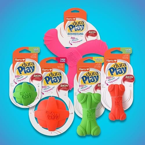 Hartz DuraPlay Ball Squeaky Latex Dog Toy, Neon Green, Neon Pink & Neon Orange, Large 3 Count Pack thumbnail 8