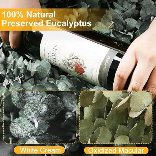 12 PCS Dried Eucalyptus Stems for Shower - 17" Preserved Eucalyptus Stems Shower Plant, Fresh Real Eucalyptus Leaves for Shower Hanging, Home Decor, Dried Flowers thumbnail 7