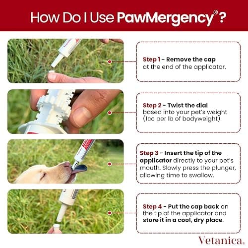 Vetanica PawMergency – Activated Charcoal First Aid Kit Emergency Rescue 2 Pack for Dogs, Cats, Puppy & Pet Poison Kit, Camping Survival Remedy Essential, Oral Anti Diarrhea Digestive Absorb Toxins thumbnail 8