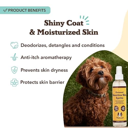 Natural Dog Company Sensitive Skin Deodorizing Spray 8 oz – Hypoallergenic Neutral-Scent Dog Spritz with Aloe, Oatmeal & Lavender – Free of Sulfates, Parabens & Artificial Fragrance thumbnail 2