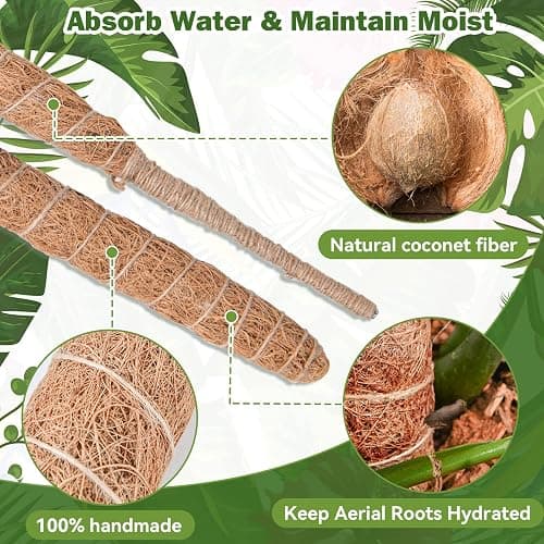 Bendable Moss Pole for Plants, SproutMaven 2 x 23.6/60cm Inch Monstera Moss Pole kit for Climbing Plants Handmade Slim Plant Stakes for Indoor Plants thumbnail 3