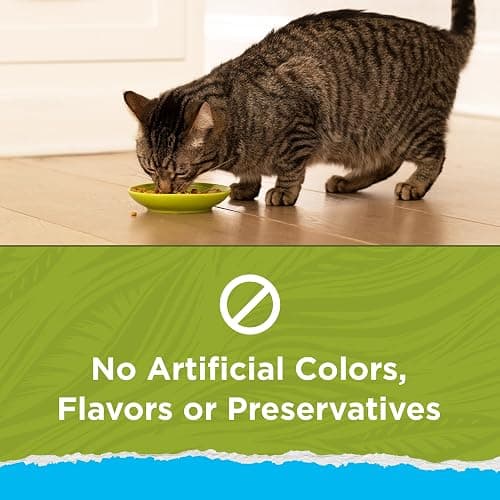 Purina Cat Chow Naturals Hairball, Indoor Dry Cat Food, 13 lb Bag | Healthy weight cat food with real turkey and chicken, a natural fiber blend helps control hairballs, for indoor cats thumbnail 3