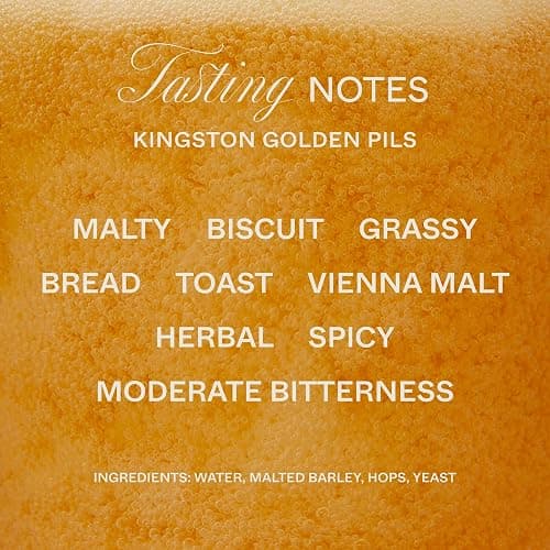 BERO Non Alcoholic Beer Refreshing 4 Flavors Variety, 12 Pack x 12 Oz Cans | NA Beer by Tom Holland, Our Classic Variety Pack Consists of our 4 Flavors, No Alcohol Beverage Great for Any Occasion thumbnail 9