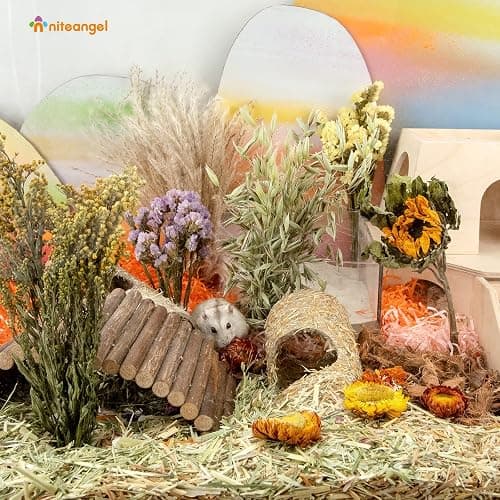 Niteangel Natural & Soft Hamster Bedding for Syrian Dwarf Hamsters Gerbils Mice Degus Bunny or Other Small-Sized Pet (Flower Version) thumbnail 6