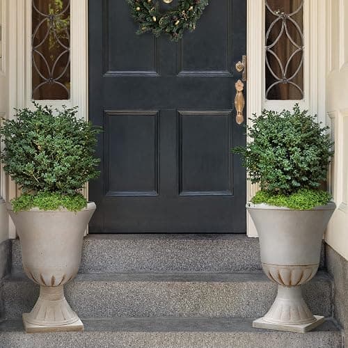 Worth Garden Plastic Urn Planters for Outdoor Plants, Tree 22'' Tall 2 Pack Round Classic Resin Flower Pots Indoor Beige Traditional Front Porch 15 in Dia. Large Imitation Stone Decorative Patio Deck thumbnail 6