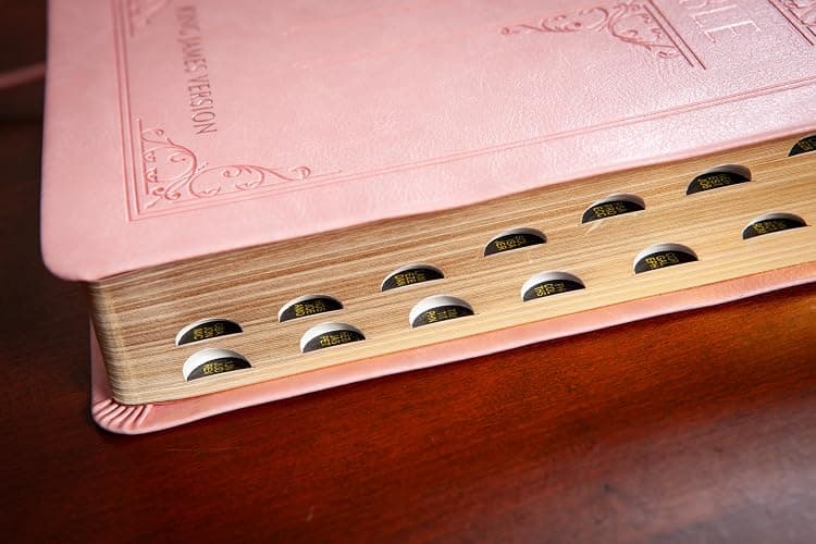 KJV Holy Bible: Blush (Light Pink), Giant Print (14 pt) – Thumb Indexed, Faux Leather, King James Version thumbnail 12