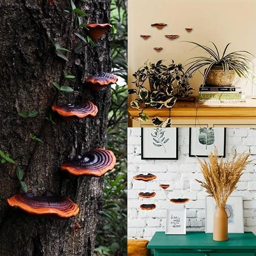 Set of 5 Mushroom Wall Shelves - Small Floating Shelves for Home Decor, Kitchen, Bedroom | Cute Resin Mushroom Shelf, Cottagecore & Reptile Gecko Habitat Accessory thumbnail 5
