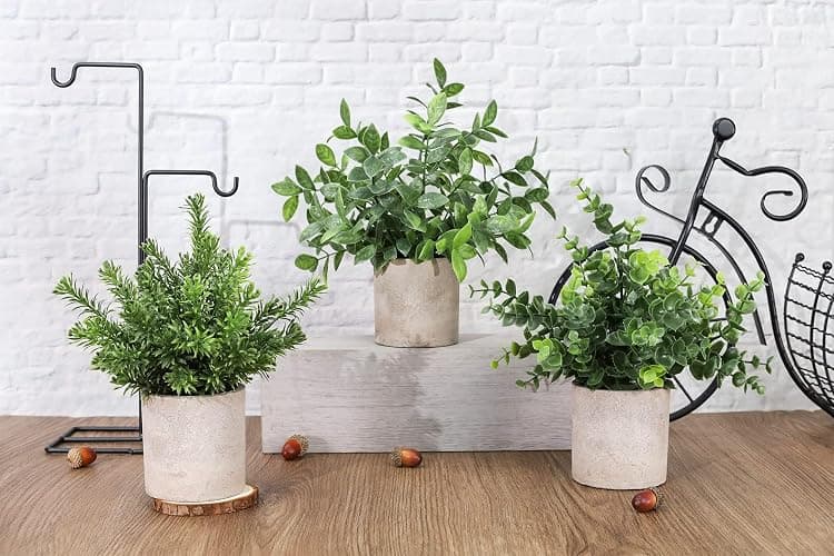 Der Rose 3 Pack Mini Potted Fake Plants Artificial Plastic Eucalyptus Plants Centerpieces for Table Home Office Desk Accessories Farmhouse Room Classroom Decor thumbnail 2