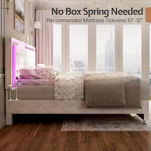 Jocisland Queen Bed Frame with LED Lights Headboard&Footboard, Velvet Upholstered Queen Size Platform Bed Frame No Box Spring Needed/Cream thumbnail 8