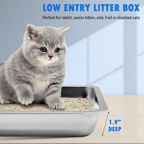 BNOSDM 4 Pcs Stainless Steel Litter Pan Low Entry Cat Litter Box Shallow Metal Litter Tray, Nonstick Open Top Cat Box for Kitten, Rabbits and Small Animals (14.2x10.6x1.9 Inch) thumbnail 3