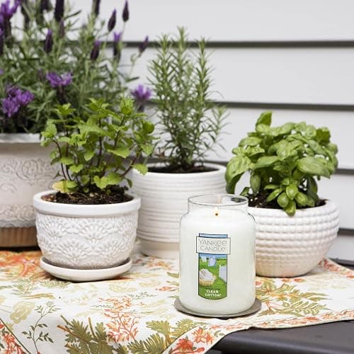 Yankee Candle Clean Cotton Scented, Large 22oz Jar Candle with Premium Paraffin-Grade Wax, Long Burn Time, Ideal for Gifts and Home Decor - Clean Cotton - Classic Large Jar thumbnail 5