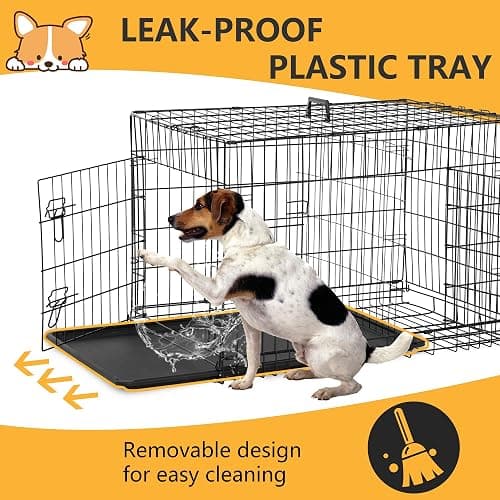 FDW | 36" Foldable Metal Dog Crate | Black | Cage for Medium Dogs | Heavy Duty, Portable Wire Kennel with Double Door, Divider & Leak-Proof Tray | For Training, Home, Travel Indoor/Outdoor Use thumbnail 5