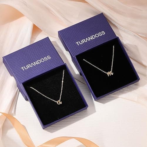 Turandoss Layered Cursive Initial Necklace for Women, 14K Gold Plated A–Z Letter Pendant Jewelry, 15"+2.5" CZ Choker & 17"+2.5" Alphabet Necklace, Dainty Personalized Gift for Her thumbnail 7