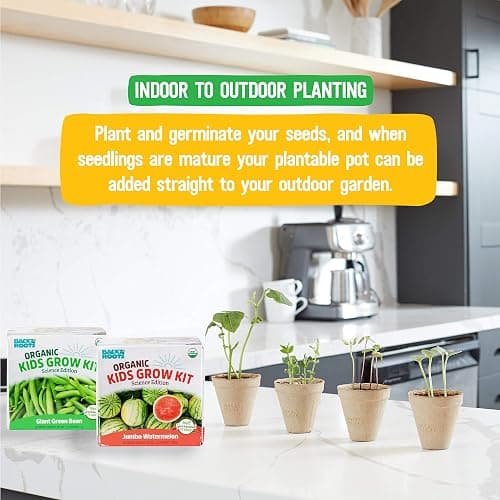 Back to the Roots Kids Science Grow Kit - 2 pk Bean and Watermelon thumbnail 4