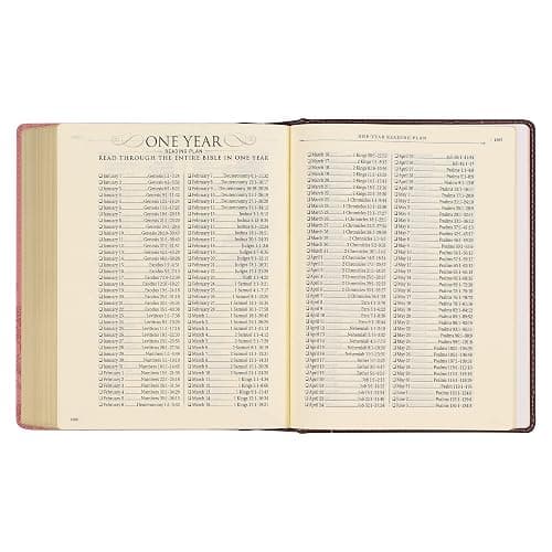 KJV Holy Bible, Note-taking Bible, Faux Leather Hardcover - King James Version, Brown/Pink (KJV Note-taking Editions) thumbnail 8