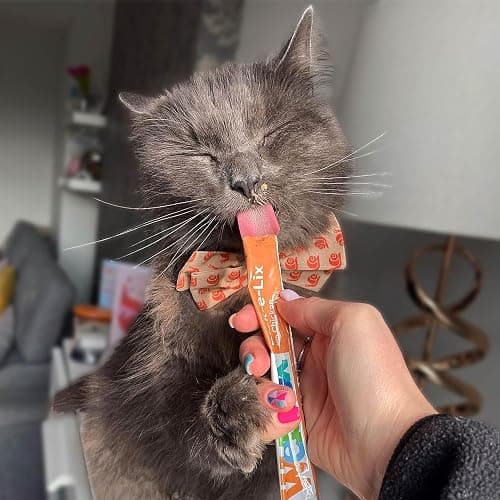 Webbox Lick-e-Lix Cat Treats Variety Value Pack - Kitten Friendly, Grain Free, No Artificial Preservatives or Colours (50 Pack) thumbnail 6