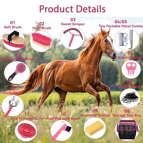 TERPUP Horse Grooming Kit 13 Piece, Horse Brushes for Grooming Supplies with Tote Bag, Horses Tack Brush Set for Effective Grooming and Cleaning, Gift for Horse Riders Beginners (Pink) thumbnail 2