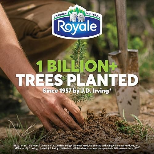 Royale Tiger Strong Paper Towel, 12 Equal 30 Rolls, 123 Sheets per Roll thumbnail 4