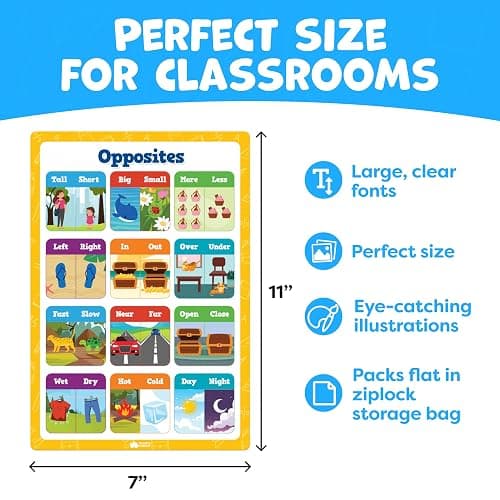 Educational Learning Posters for Toddlers 1-3 - 20pc Classroom Toddler Learning Posters - 16” x 11” Classroom Decor, Back to School Teacher Supplies - Kindergarten Preschool Classroom Must Haves thumbnail 5