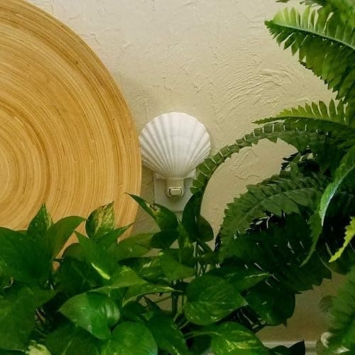 Tumbler Home Real Sea Shell Beach Night Light for Coastal Beach Home Decor | Seashell decor for beachy room or coastal bathroom thumbnail 7