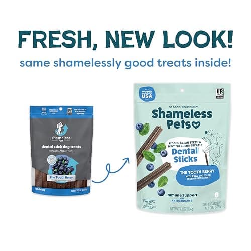 Shameless Pets Blueberry & Mint Dental Chews for Dogs, 8 Chews - Natural Dog Teeth Cleaning Treats with Fresh Breath Benefits | Grain-Free Dental Sticks for Small, Medium & Large Dogs thumbnail 2