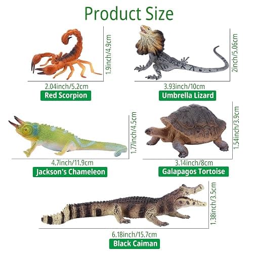 Toymany Reptile Animal Figurine Toys Set, 12 PCS Halloween Desert Amphibians Animal Figures with Komodo Dragon Lizard Snake Chameleon Rainforest Cold Blooded Animals Figures Party Favor for Kids thumbnail 5