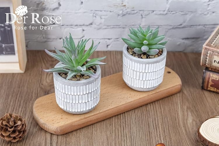 Der Rose Set of 2 Succulents Plants Artificial Fake Cactus Plants for Living Room Bathroom Bedroom Aesthetic Home Shelf Decor thumbnail 2