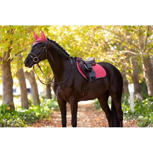 LeMieux Suede Close Contact Square Saddle Pad - English Saddle Pad for Horses - Equestrian Riding Equipment and Accessories thumbnail 3