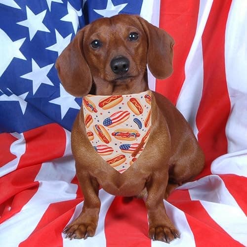 ADOGGYGO American Flag Dog Bandana, Ice Cream Hamburg Flag Pet Scarf, Premium Durable Fabric, Patriotic 4th of July Bandanas for Medium Large Dogs Pets (Large) thumbnail 3