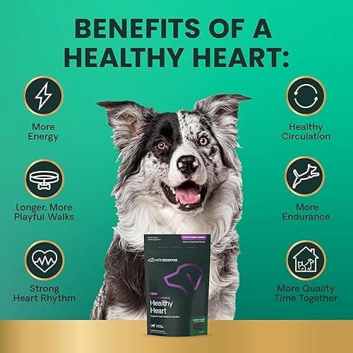 VetriScience Extra Strength Healthy Heart Chews, Vetri Cardio Supplement for Dogs, Heart Support Supplement with Taurine, Carnitine, CoQ10, Hawthorn and Berberine, Chicken, 60 Count thumbnail 7