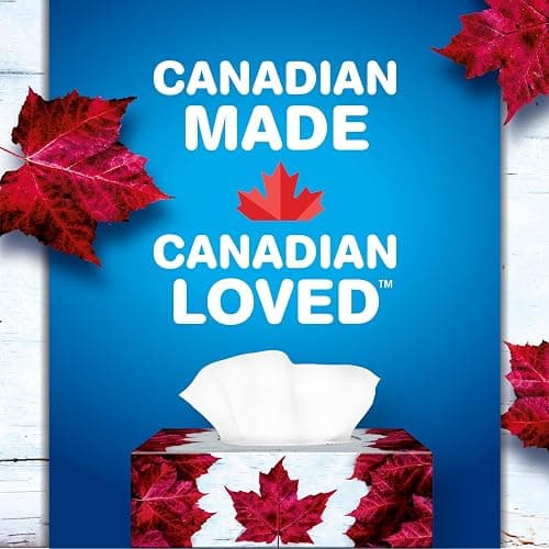 Scotties Facial Tissue, 2-ply, 126 sheets per box - 6 Pack (Canadian) thumbnail 4