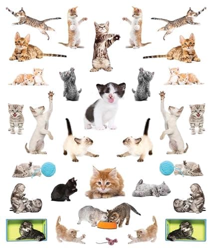 Eyelike Stickers: Kittens thumbnail 3