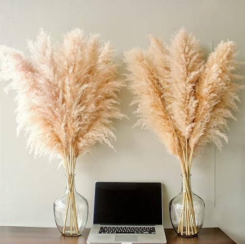 46" inch 10 Stems Natural Pampas Grass Decor Tall, Pompas Grass, Tall Pampas Grass for Weddingm, Farmhouse, Boho Home Decor (Beige) thumbnail 4