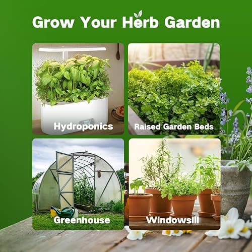 LUSH&DEW Medicinal Herb Gardening Gifts for Herbalists, Apothecary Seed Chest, 40 Varieties 36,000+ Non-GMO Heirloom Seeds for Planting Herbs in Raised Bed Windowsill, Survival Seed Kit for Herbal Tea thumbnail 6