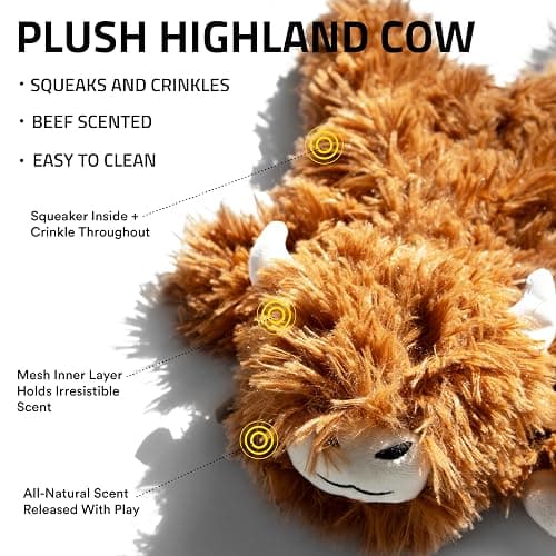 Playology Dog Toys | Plush Highland Cow Stuffed Animal | Beef Scented Jumbo Squeaky Toy | Plush Chew Toy for Large Dogs thumbnail 2