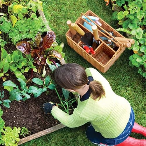 SOLIGT Garden Tools Set with Basket, Heavy Duty Stainless Steel Gardening Hand Tool with Wood Handle, Pruning Shears, Gloves - Perfect Gardening Gifts Planting Supplies for Women Men thumbnail 2