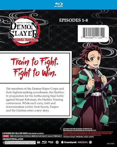Demon Slayer: Kimetsu no Yaiba: Hashira Training Arc thumbnail 3