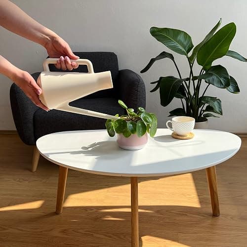 Plastia Gießkanne Klein für den Zimmerpflanzen 1,8 L - Blumengießkanne aus Recyceltem Kunststoff - Giesskanne mit Langem Ausgießer für Einfache Bewässerung, Elfenbein thumbnail 2