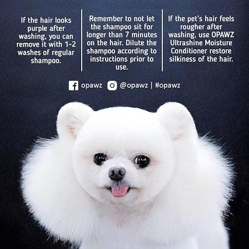 OPAWZ 05 Whitening Purple Shampoo for Dog and Cat, Safely Remove Yellow Stains, with No Bleach, Peroxide and Sulfate, Professional Groomers Recommended Product, 16.9 oz thumbnail 4