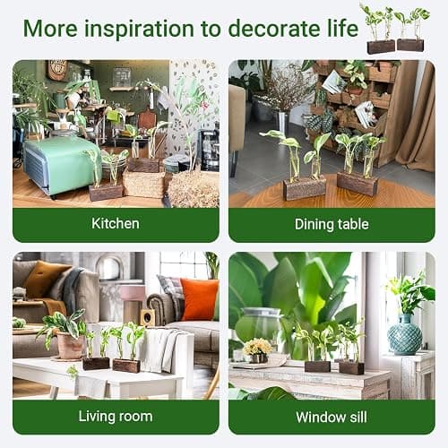 Propagation Station, Plants Terrarium, Plants Lover Gifts for Women,Plant Cutting Holder Home décor,Gifts for Women,House Warming New Home-4 Tubes-Brown thumbnail 6