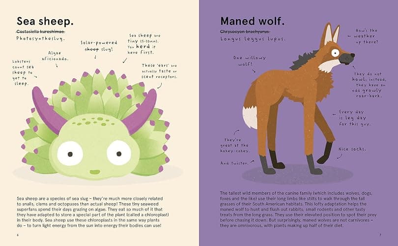 The World's Most Ridiculous Animals (2) (Quirky Creatures) thumbnail 5