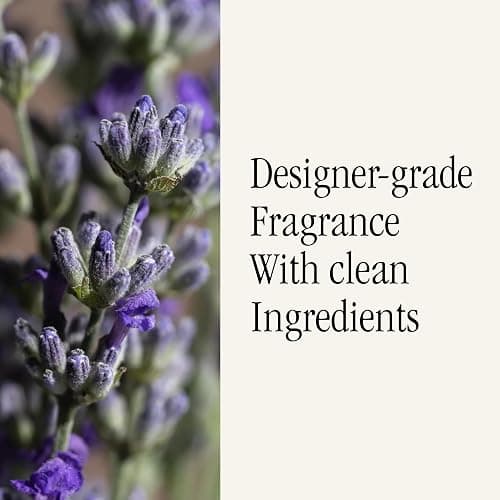 PuraHome Scent Refill - Smart Home Air Diffuser - Up to 120-Hours of Luxury Fragrance per Refill - Home Essential - Clean & Safe Diffuser Fragrance - 2 Pack, Simply Lavender thumbnail 4