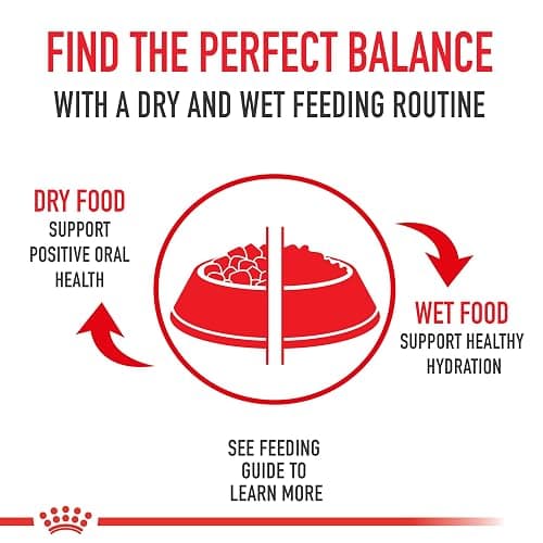 Royal Canin Pomeranian Adult Wet Dog Food, 3 oz, 6-Pack | Skin & Coat Support with EPA & DHA, Bone & Joint Support, For Adult Pomeranians, Loaf in Sauce, Developed by Veterinarians thumbnail 9