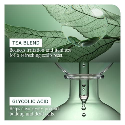 Biolage Scalp Sync Clarifying Shampoo - Residue & Buildup Remover, For Oily Scalp, With Fermented Tea & Glycolic Acid, Vegan & Paraben-Free, Packaging May Vary thumbnail 6