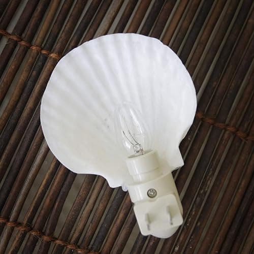 Tumbler Home Real Sea Shell Beach Night Light for Coastal Beach Home Decor | Seashell decor for beachy room or coastal bathroom thumbnail 5