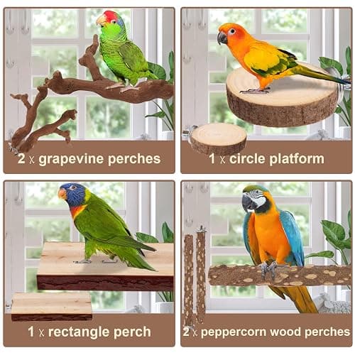 Parrot Perch Bird Perch Stand Set Natural Wild Wood Grape Sticks Paw Grinding Fork Parakeet Climbing Standing Branches Toys Cage Accessories for Conure,Cockatiels Lovebirds,Budgies Chewable 6PC thumbnail 6