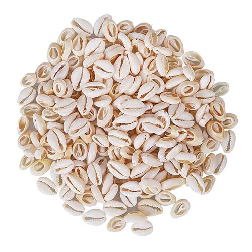 150 PCS White 0.63"-0.71" Natural Strong Cowrie Shell Beads Smooth Cut Oval Seashells, Beach Seashells with Big Hole for DIY Craft Jewelry Making, Adorning Hair Locks and Braids thumbnail 6